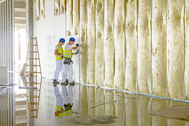 Best Commercial Insulation in Clio, MI